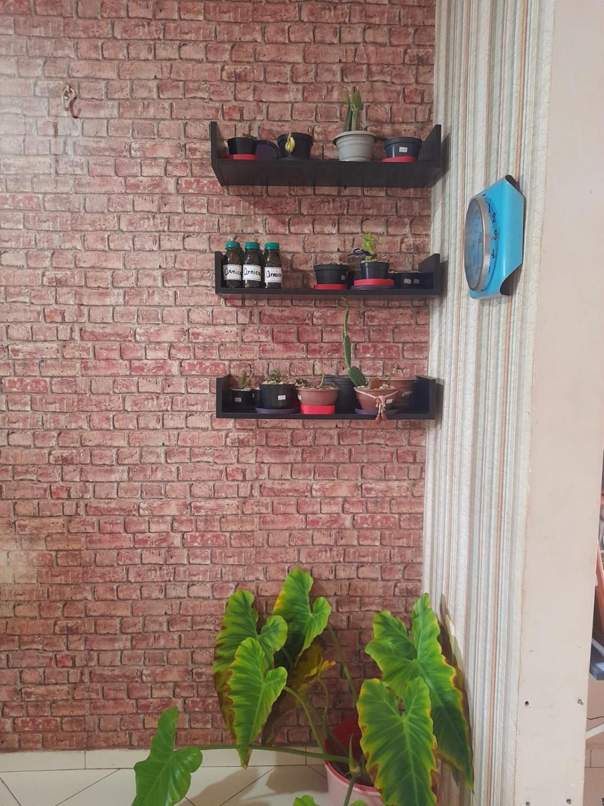 Verdes Hostel Palmas-To Ngoại thất bức ảnh